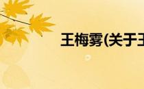 王梅雾(关于王梅雾的简介)