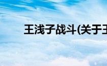 王浅子战斗(关于王浅子战斗的简介)