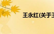 王永红(关于王永红的简介)
