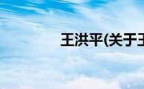 王洪平(关于王洪平的简介)