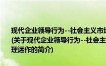 现代企业领导行为--社会主义市场经济条件下经理 厂长的科学管理运作(关于现代企业领导行为--社会主义市场经济条件下经理 厂长的科学管理运作的简介)