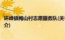 环峰镇梅山村志愿服务队(关于环峰镇梅山村志愿服务队的简介)
