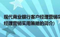 现代商业银行客户经理营销实用策略(关于现代商业银行客户经理营销实用策略的简介)