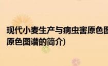 现代小麦生产与病虫害原色图谱(关于现代小麦生产与病虫害原色图谱的简介)