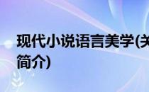 现代小说语言美学(关于现代小说语言美学的简介)
