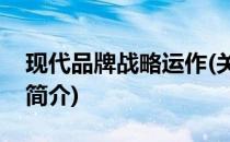 现代品牌战略运作(关于现代品牌战略运作的简介)