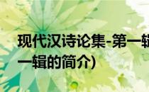 现代汉诗论集-第一辑(关于现代汉诗论集-第一辑的简介)
