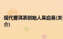 现代普洱茶创始人吴启英(关于现代普洱茶创始人吴启英的简介)