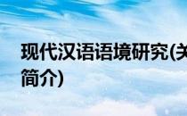 现代汉语语境研究(关于现代汉语语境研究的简介)