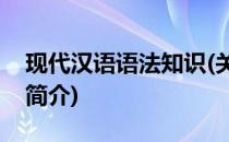 现代汉语语法知识(关于现代汉语语法知识的简介)