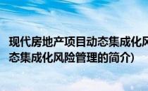 现代房地产项目动态集成化风险管理(关于现代房地产项目动态集成化风险管理的简介)