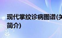 现代掌纹诊病图谱(关于现代掌纹诊病图谱的简介)