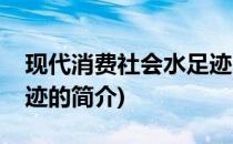现代消费社会水足迹(关于现代消费社会水足迹的简介)