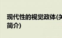 现代性的视觉政体(关于现代性的视觉政体的简介)