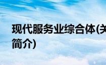 现代服务业综合体(关于现代服务业综合体的简介)
