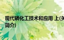 现代磷化工技术和应用 上(关于现代磷化工技术和应用 上的简介)