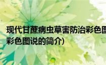 现代甘蔗病虫草害防治彩色图说(关于现代甘蔗病虫草害防治彩色图说的简介)