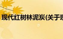 现代红树林泥炭(关于现代红树林泥炭的简介)