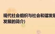 现代社会组织与社会和谐发展(关于现代社会组织与社会和谐发展的简介)