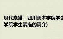 现代素描：四川美术学院学生素描(关于现代素描：四川美术学院学生素描的简介)