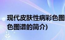 现代皮肤性病彩色图谱(关于现代皮肤性病彩色图谱的简介)