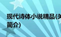 现代诗体小说精品(关于现代诗体小说精品的简介)