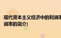现代资本主义经济中的利润率(关于现代资本主义经济中的利润率的简介)