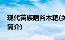 现代苗族晒谷木耙(关于现代苗族晒谷木耙的简介)