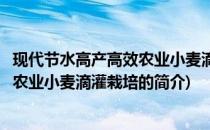 现代节水高产高效农业小麦滴灌栽培(关于现代节水高产高效农业小麦滴灌栽培的简介)