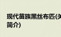 现代苗族黑丝布匹(关于现代苗族黑丝布匹的简介)