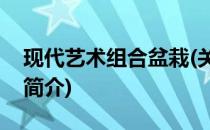 现代艺术组合盆栽(关于现代艺术组合盆栽的简介)