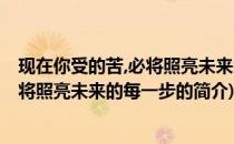 现在你受的苦,必将照亮未来的每一步(关于现在你受的苦,必将照亮未来的每一步的简介)