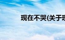 现在不哭(关于现在不哭的简介)