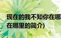 现在的我不知你在哪里(关于现在的我不知你在哪里的简介)