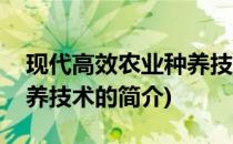 现代高效农业种养技术(关于现代高效农业种养技术的简介)