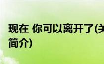 现在 你可以离开了(关于现在 你可以离开了的简介)
