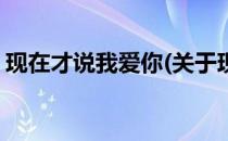 现在才说我爱你(关于现在才说我爱你的简介)