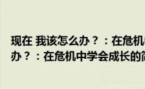 现在 我该怎么办？：在危机中学会成长(关于现在 我该怎么办？：在危机中学会成长的简介)