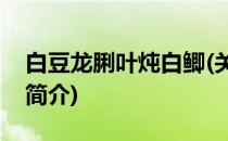 白豆龙脷叶炖白鲫(关于白豆龙脷叶炖白鲫的简介)