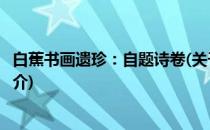 白蕉书画遗珍：自题诗卷(关于白蕉书画遗珍：自题诗卷的简介)