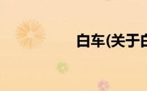 白车(关于白车的简介)