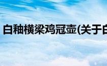 白釉横梁鸡冠壶(关于白釉横梁鸡冠壶的简介)