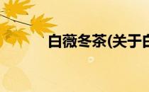 白薇冬茶(关于白薇冬茶的简介)