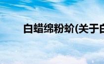 白蜡绵粉蚧(关于白蜡绵粉蚧的简介)