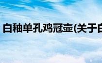 白釉单孔鸡冠壶(关于白釉单孔鸡冠壶的简介)