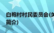 白袍村村民委员会(关于白袍村村民委员会的简介)