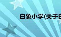 白象小学(关于白象小学的简介)