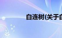 白连树(关于白连树的简介)