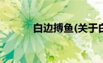 白边搏鱼(关于白边搏鱼的简介)