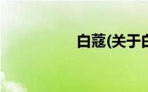 白蔻(关于白蔻的简介)